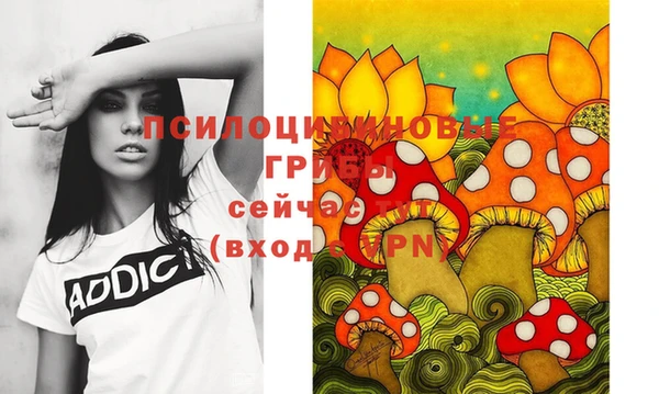 круглые Арсеньев