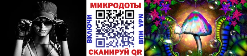 Галлюциногенные грибы Psilocybe  Купить где  Арамиль 